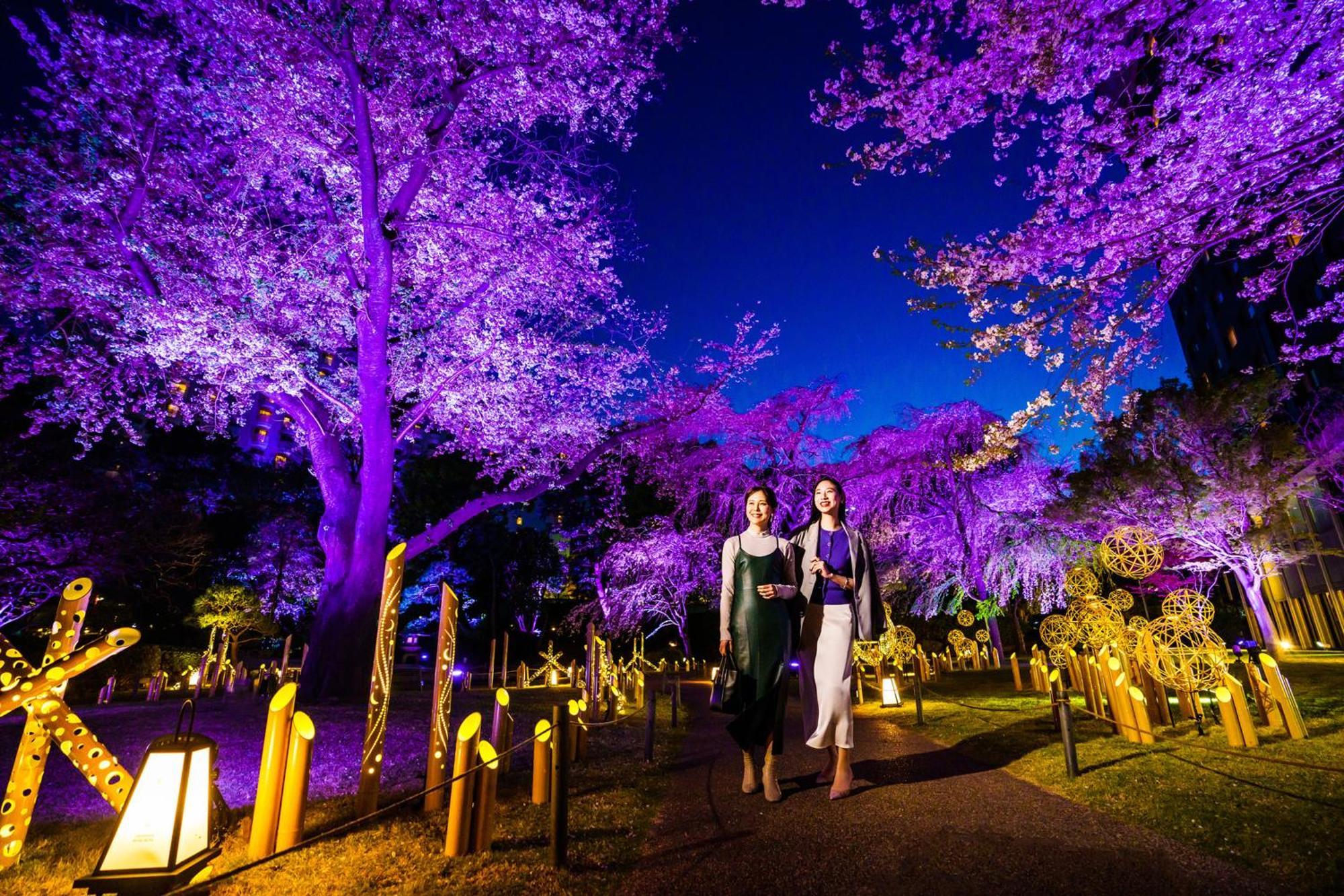 Grand Prince Hotel Takanawa Tokyo Exterior photo Illumination of the park