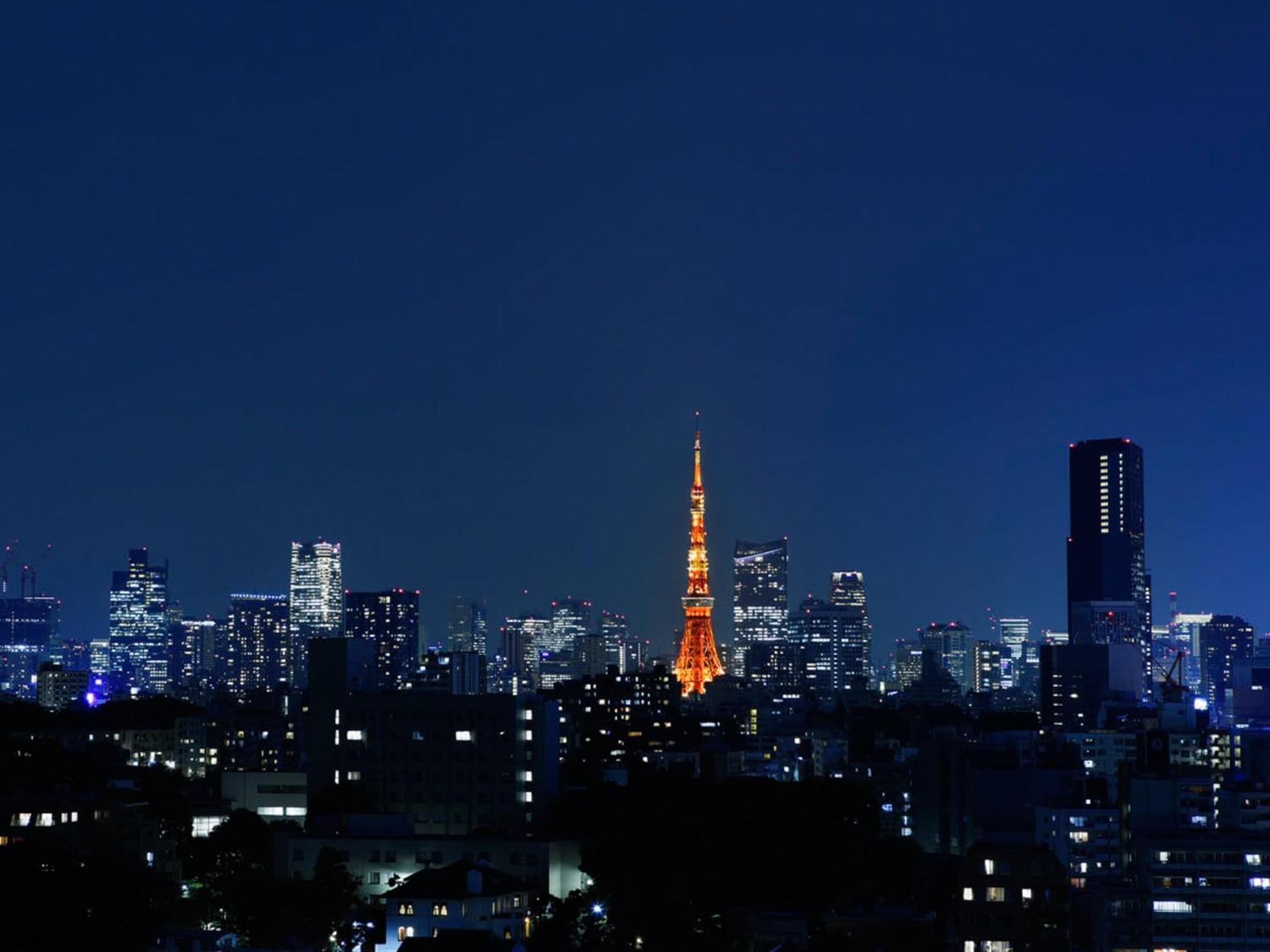 Grand Prince Hotel Takanawa Tokyo Room photo