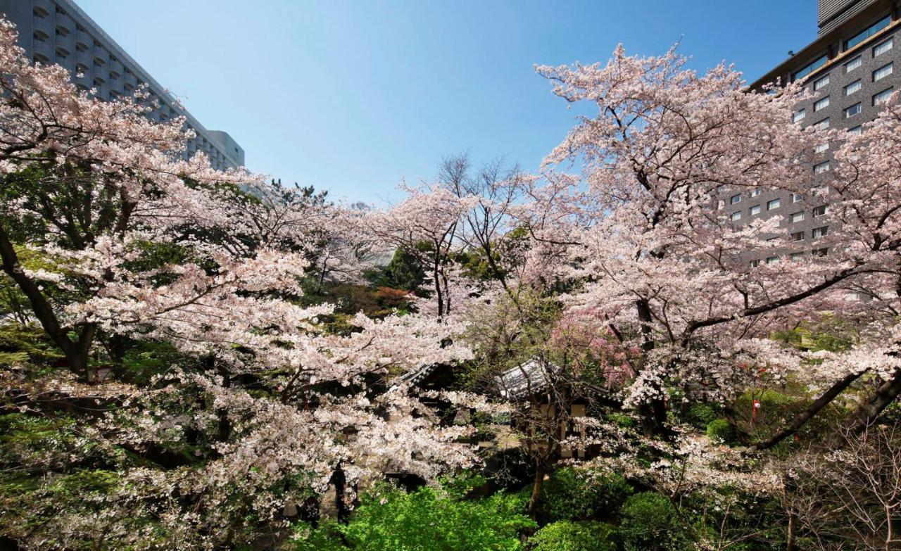Grand Prince Hotel Takanawa Tokyo Exterior photo Cherry blossoms at the campus